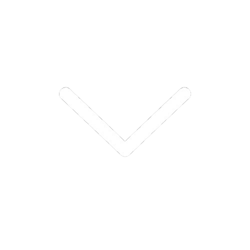 Chevron down icon
